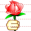 Rose icon