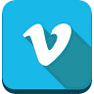 Vine icon