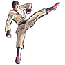 Karate icon