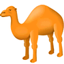 Camel icon