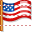 USA flag icon